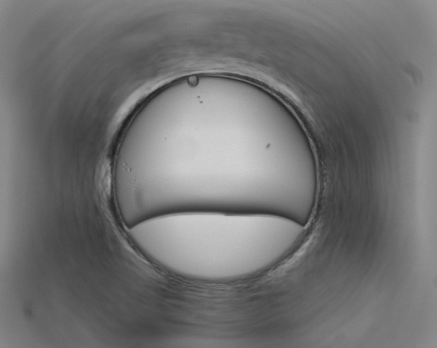 X0000115801509200911131012