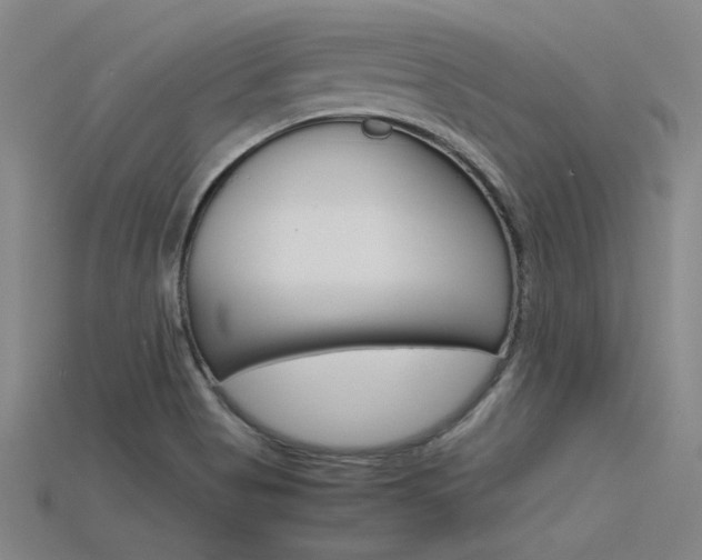 X0000115801513200911131012