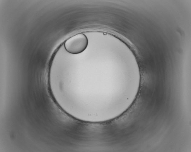 X0000115801514200911131012