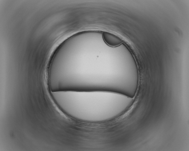 X0000115801517200911131012