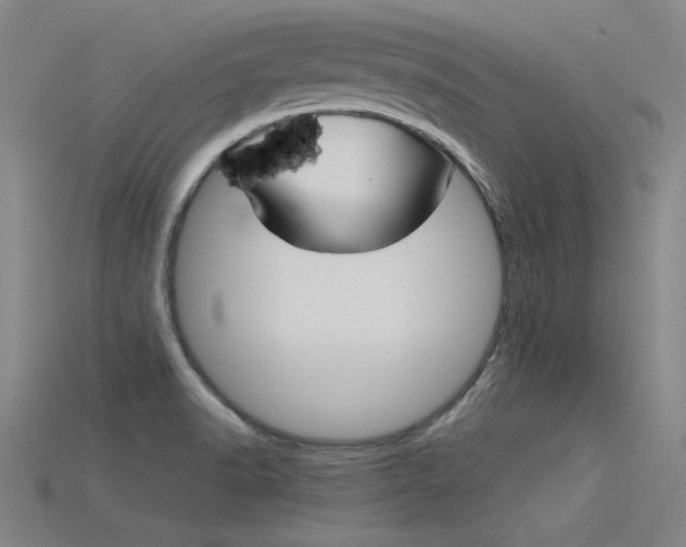 X0000115801518200911131012