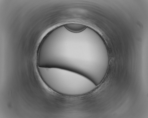 X0000115801523200911131012