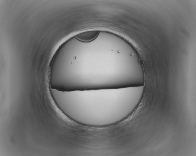 X0000115801526200911131012