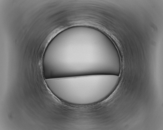 X0000115801529200911131012