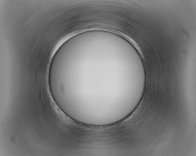 X0000115801530200911131012