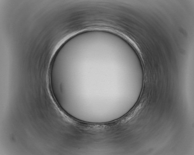 X0000115801533200911131012