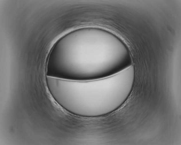 X0000115801534200911131012
