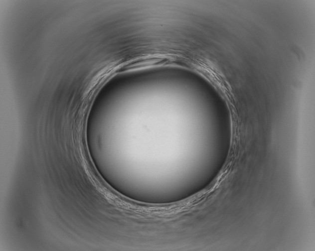 X0000115800001200911131409