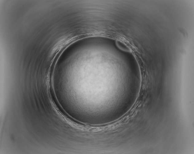 X0000115800002200911131409
