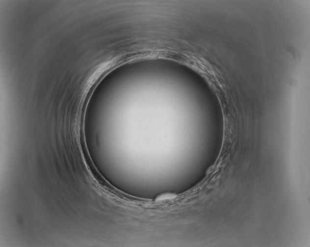 X0000115800003200911131409