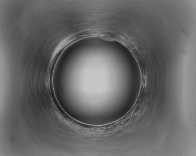 X0000115800004200911131409