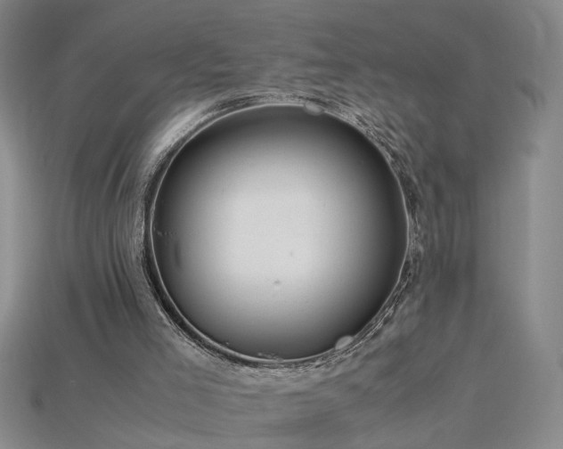 X0000115800005200911131409