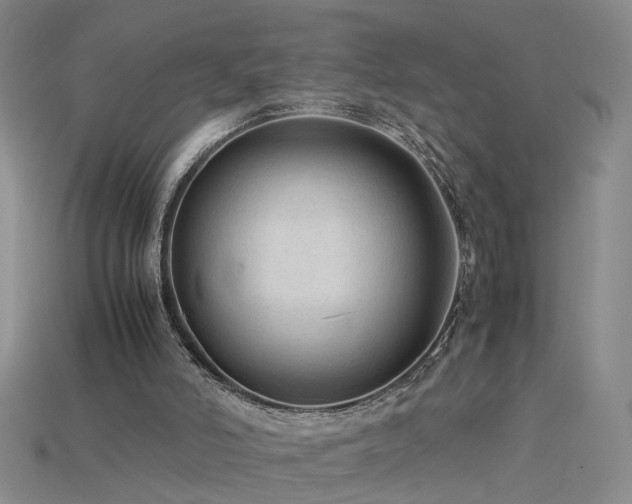 X0000115800006200911131409