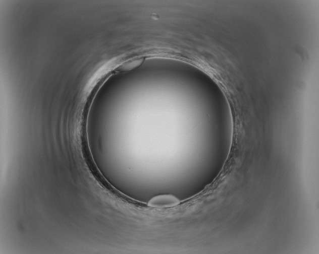 X0000115800007200911131409