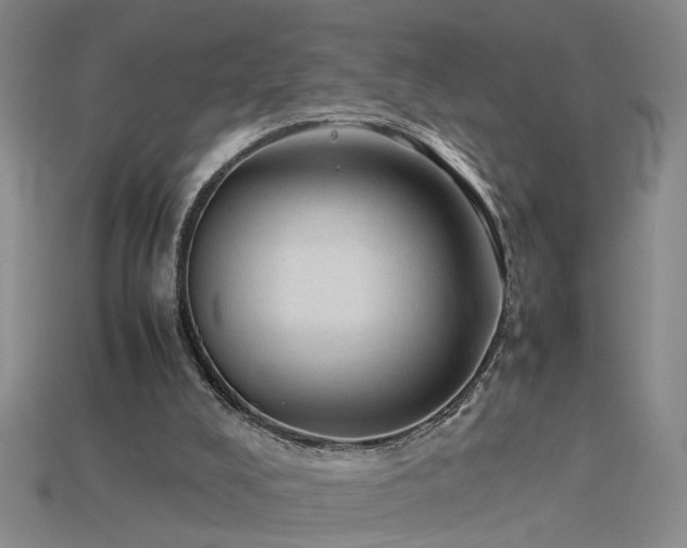 X0000115800008200911131409