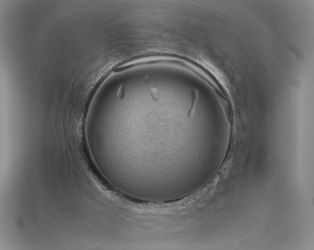 X0000115800009200911131409
