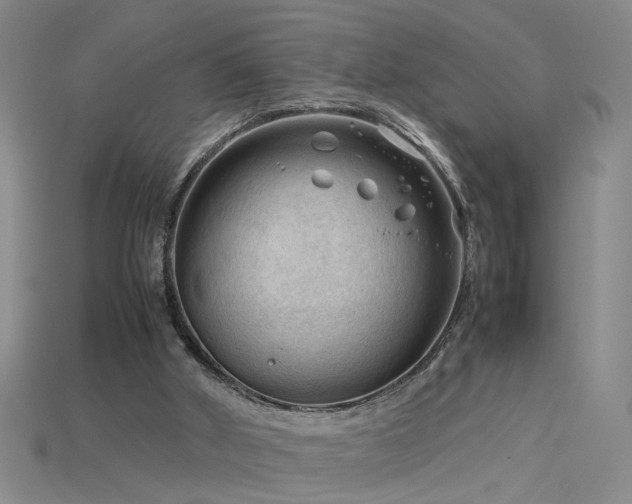 X0000115800010200911131409