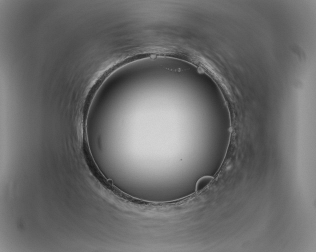 X0000115800011200911131409