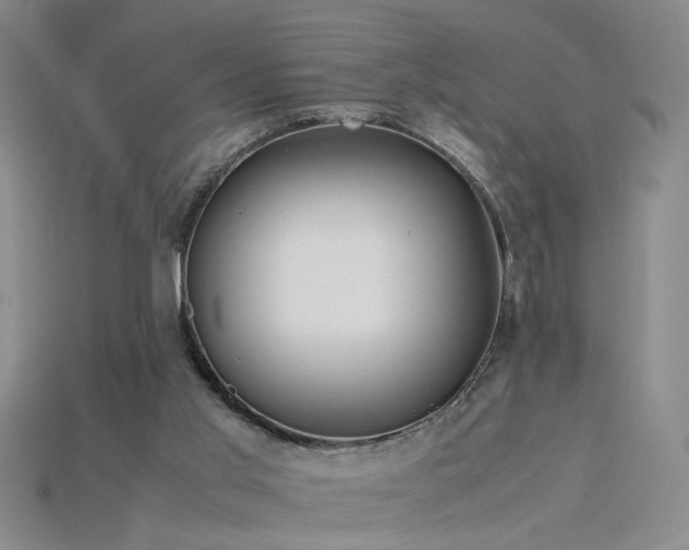 X0000115800013200911131409