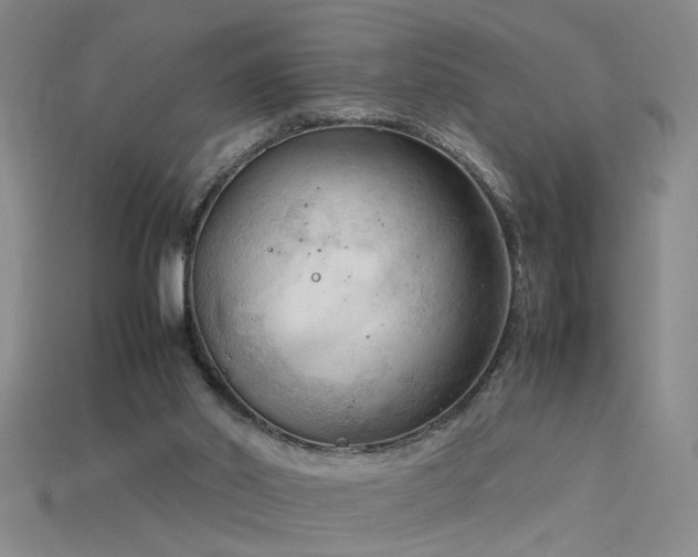 X0000115800014200911131409