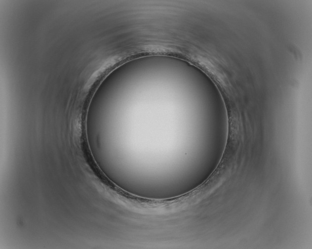 X0000115800015200911131409