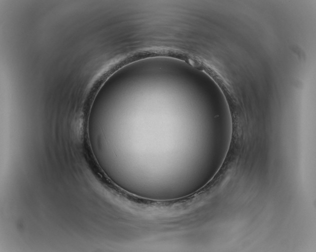 X0000115800016200911131409