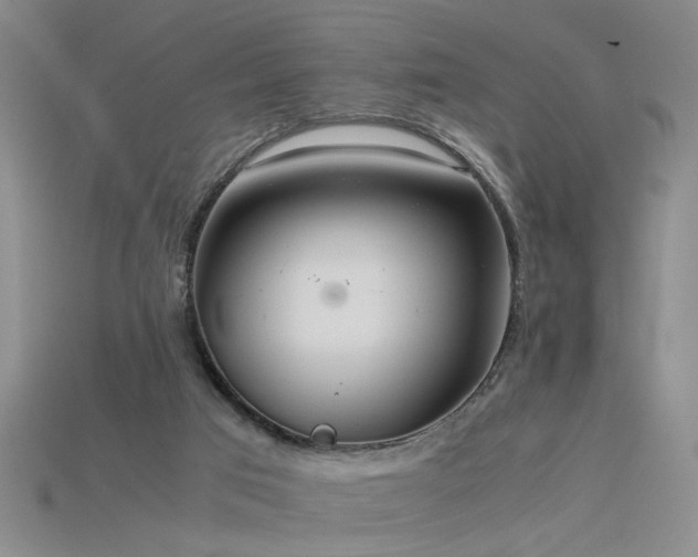 X0000115800017200911131409