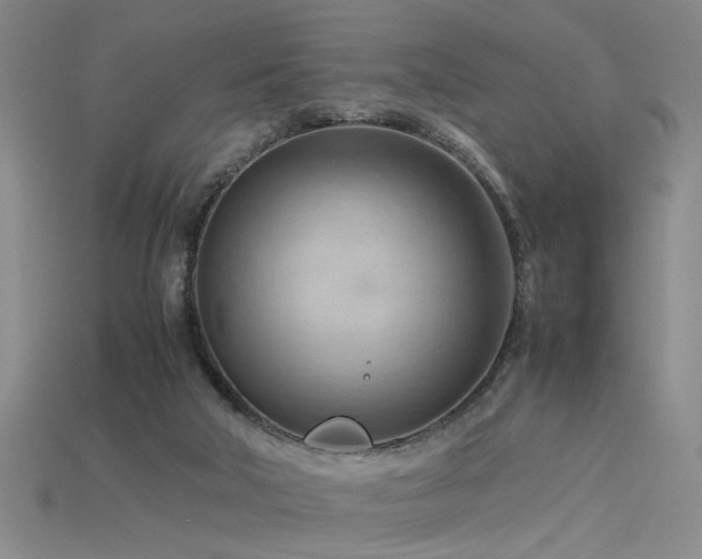 X0000115800018200911131409