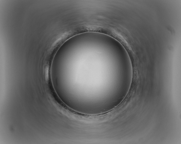 X0000115800019200911131409