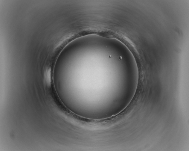 X0000115800020200911131409