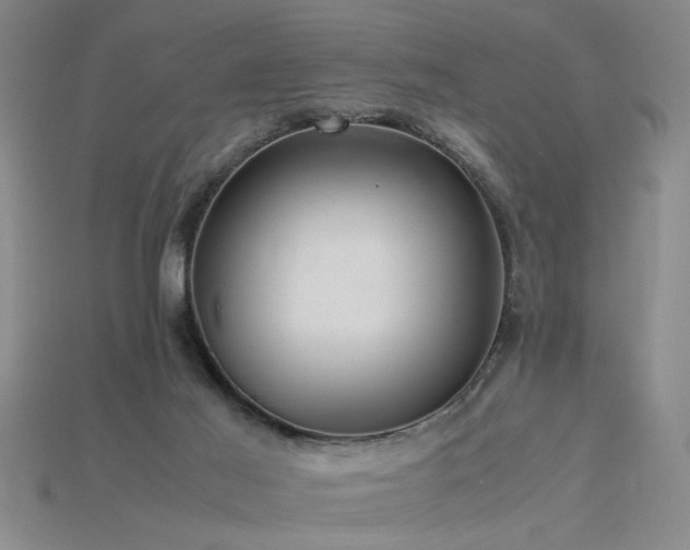 X0000115800021200911131409