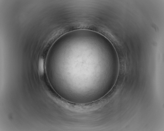 X0000115800022200911131409