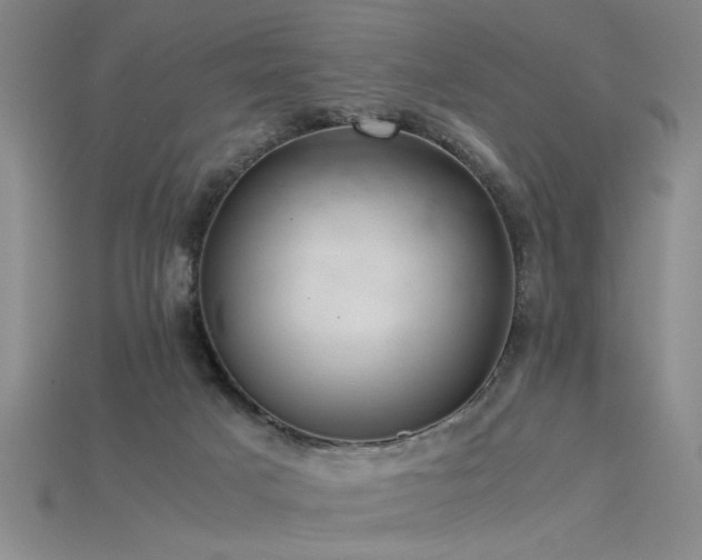 X0000115800025200911131409