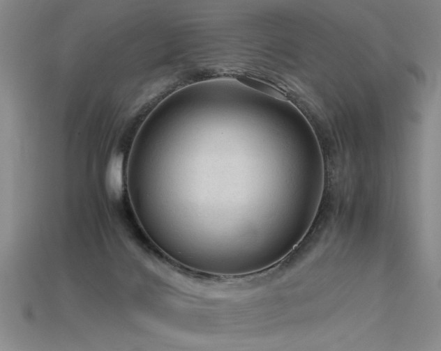 X0000115800028200911131409