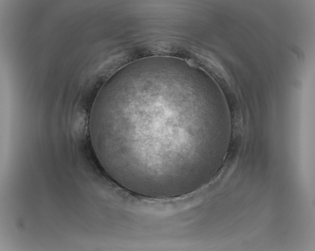 X0000115800029200911131409