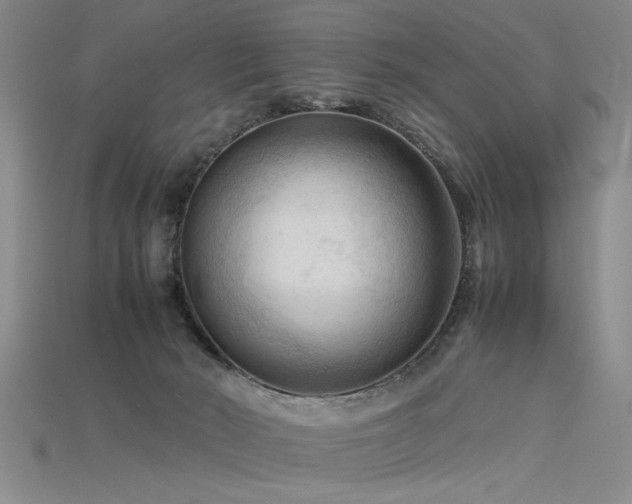 X0000115800030200911131409