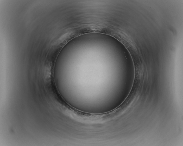 X0000115800032200911131409