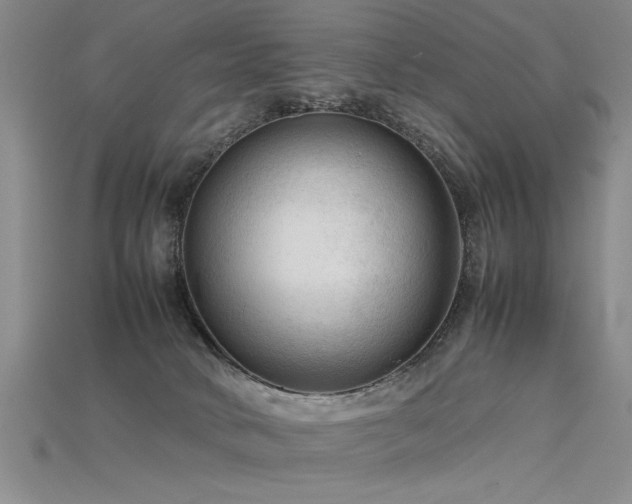 X0000115800034200911131409