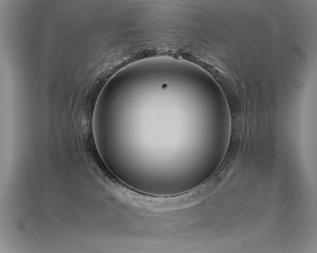 X0000115800039200911131409