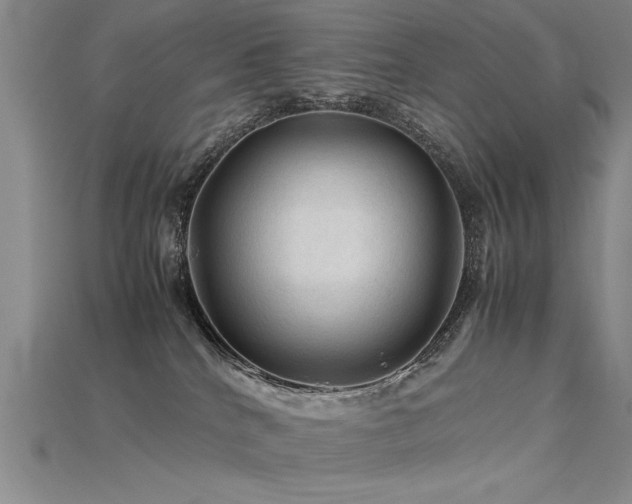 X0000115800040200911131409