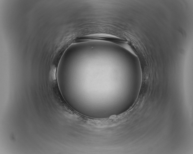X0000115800041200911131409