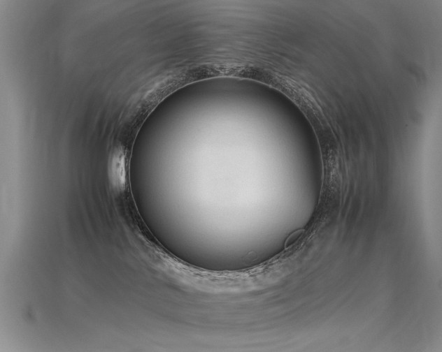 X0000115800042200911131409