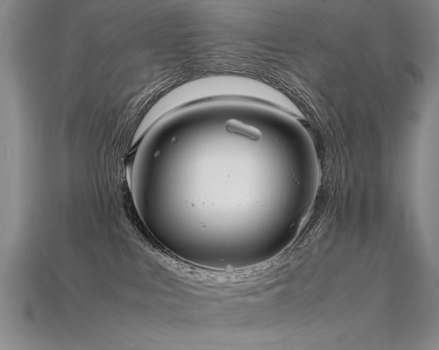 X0000115800043200911131409