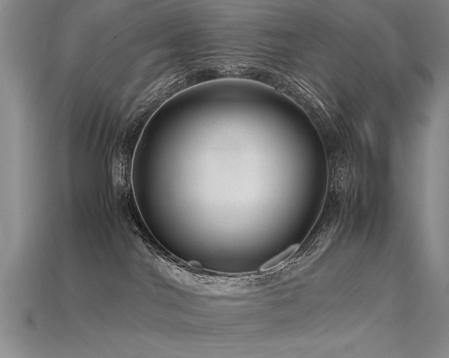 X0000115800044200911131409