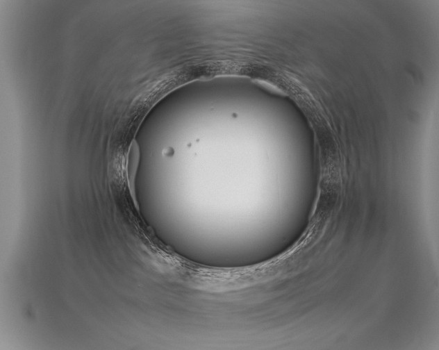 X0000115800045200911131409