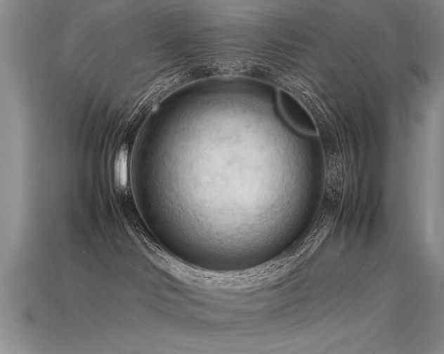 X0000115800046200911131409
