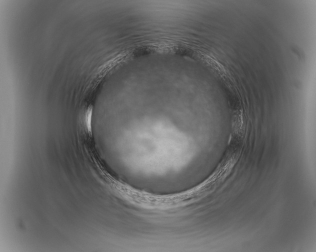 X0000115800047200911131409