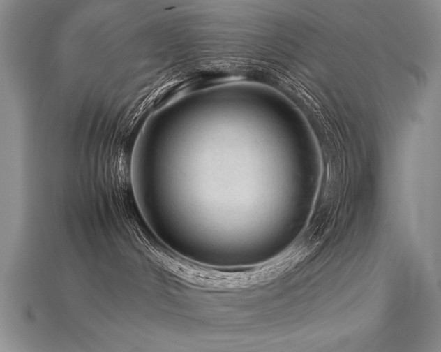 X0000115800048200911131409