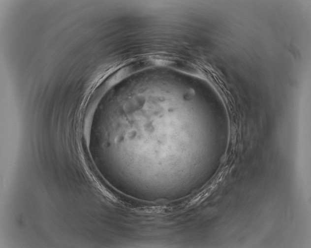 X0000115800049200911131408