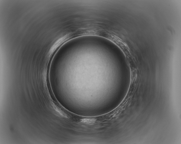 X0000115800051200911131408